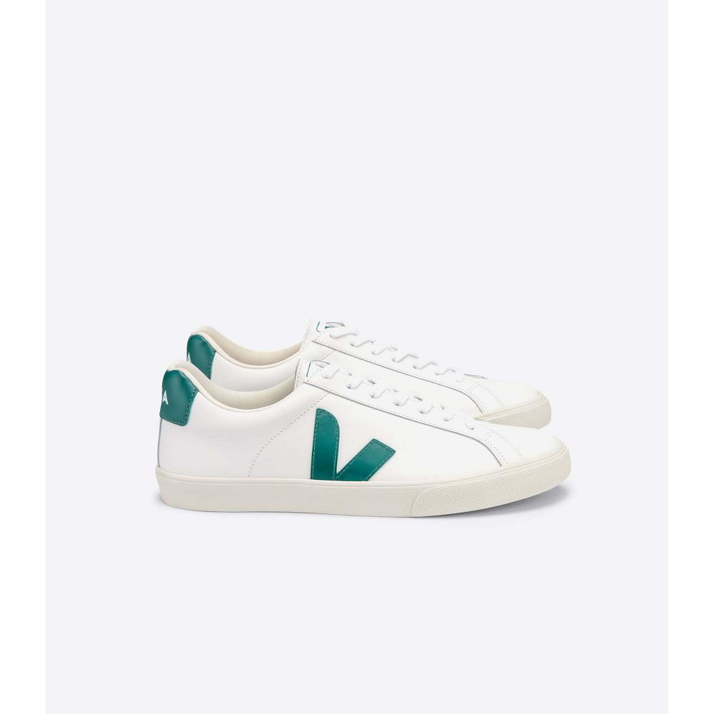 Veja ESPLAR LEATHER Men\'s Sneakers White/Green | CA 305ZUT